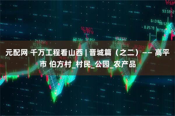 元配网 千万工程看山西 | 晋城篇（之二）—— 高平市 伯方村_村民_公园_农产品