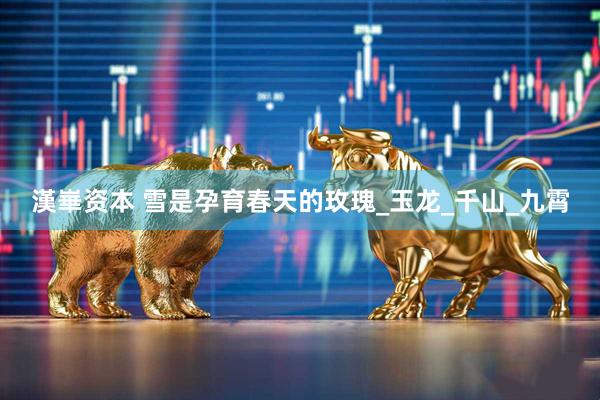 漢崋资本 雪是孕育春天的玫瑰_玉龙_千山_九霄