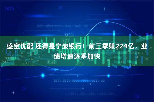 盛宝优配 还得是宁波银行!前三季赚224亿,业绩增速逐季加快